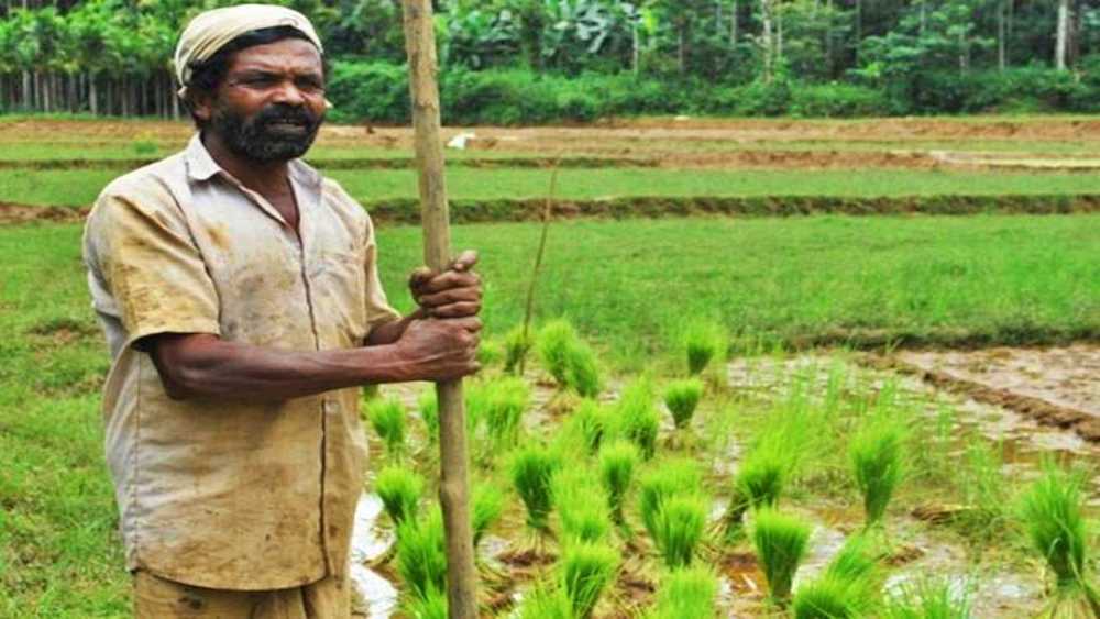 Day with Farmer Wayanad Tour