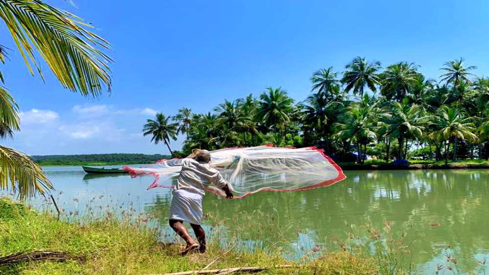 Things to do in Calicut