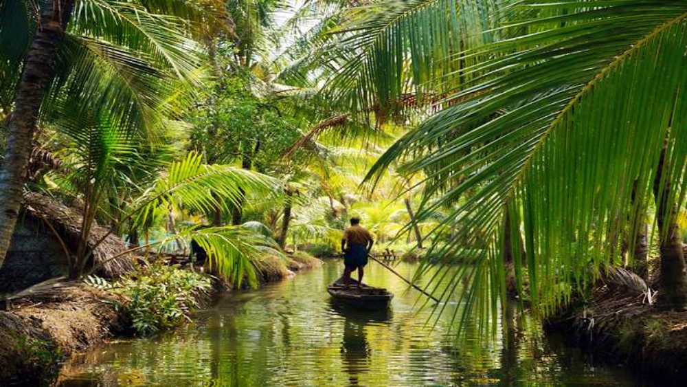 Munroe Island Tour