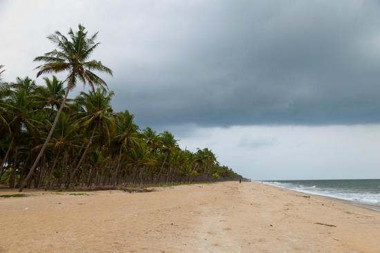 6 Best Beaches in Kerala