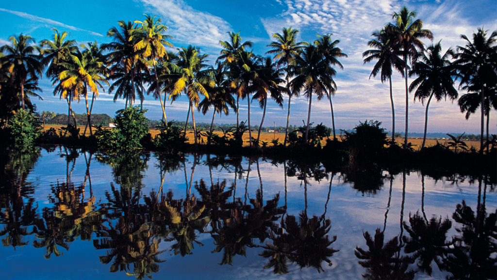 Kuttanadu Backwaters