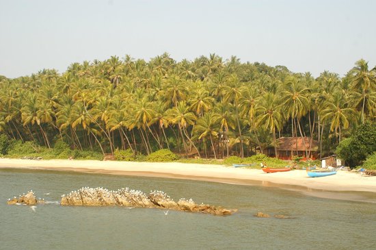 Best Resorts in kannur