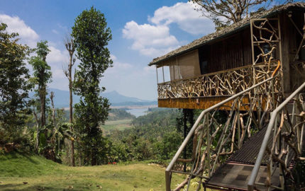 Amaryllis Homestay’s Treehouse in Wayanad