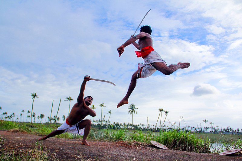 Members of Suicide Squad were masters in Kalaripayattu