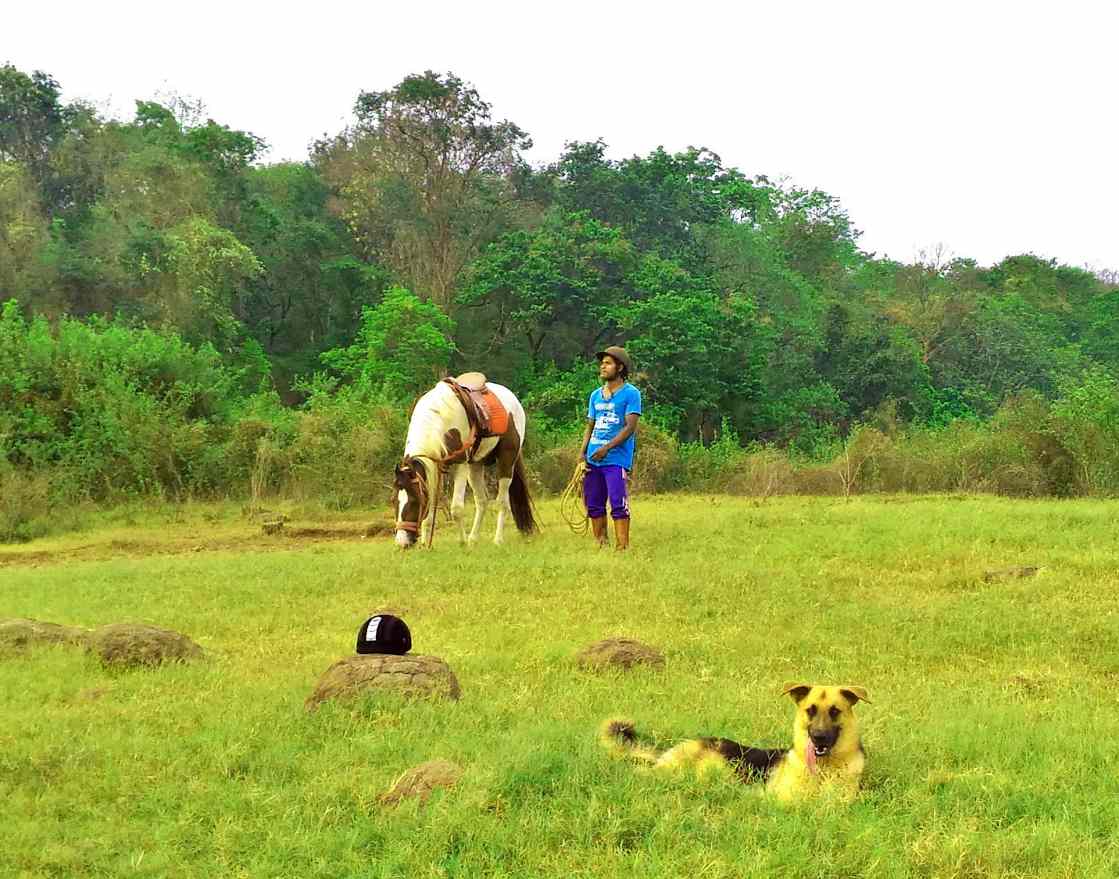 Learn Horse Riding without taking leave