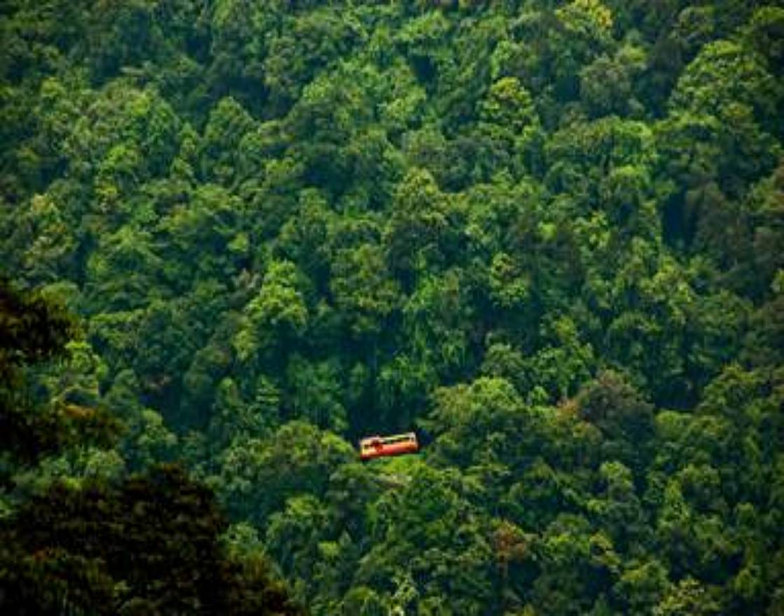 Kerala Beach and Hill Tour