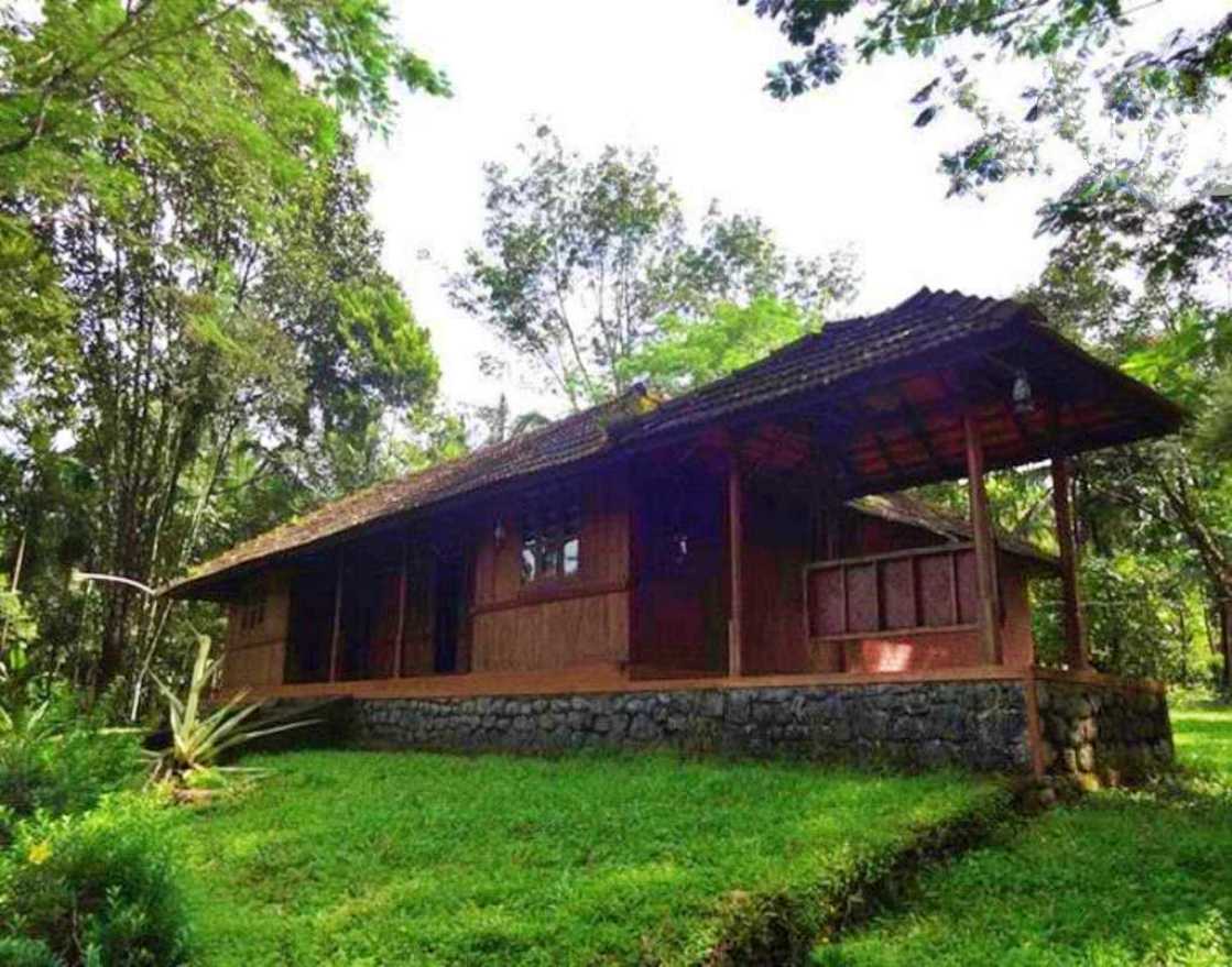 Thattekkad River house near to Kochi 